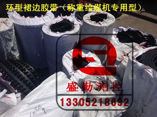 環(huán)型裙邊膠帶及平皮帶.jpg 環(huán)型裙邊膠帶及平皮帶.jpg