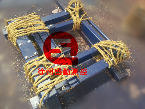 皮帶秤6_副本_副本.jpg 皮帶秤6_副本_副本.jpg