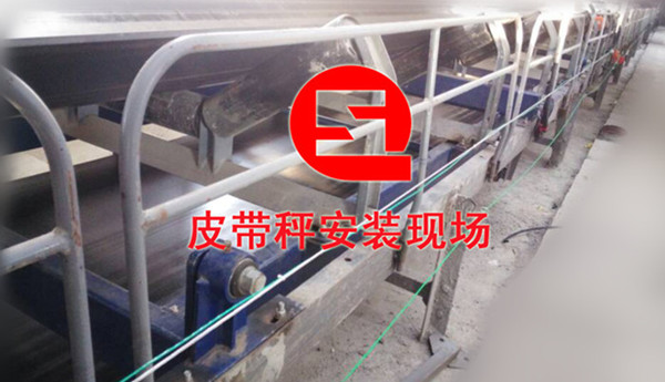 �����|(zh��)�l(f��)늏S��úϵ�y(t��ng)����Ƥ���Ӱ��b�F(xi��n)��